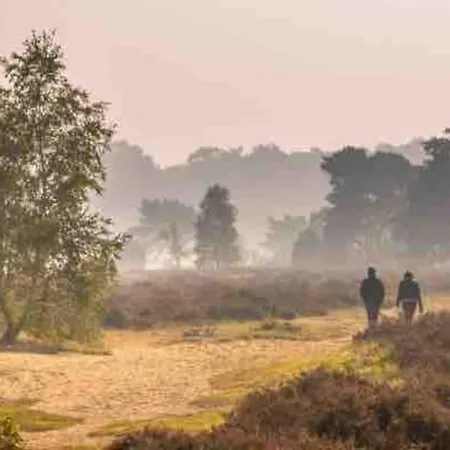 Sfeervol Hoenderloo, De Veluwe