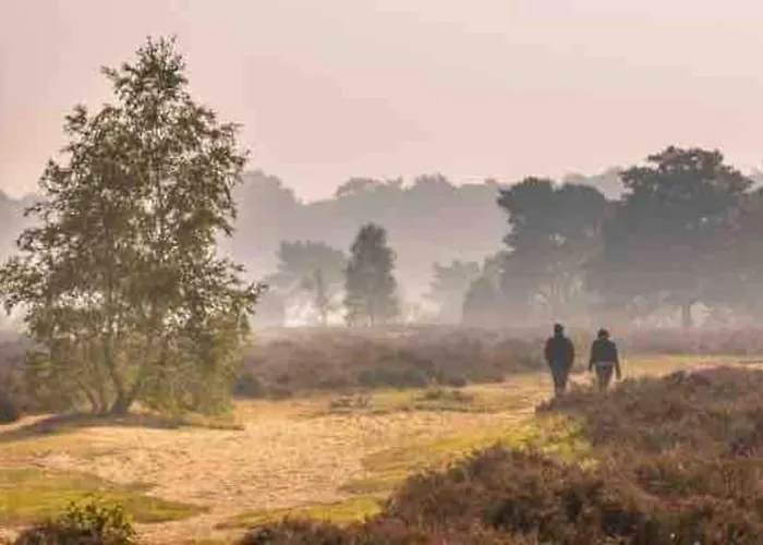 Sfeervol Hoenderloo, De Veluwe
